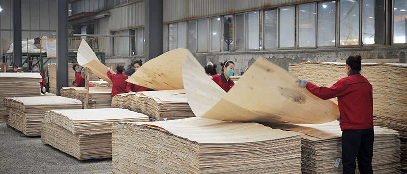 人造板力學(xué)性能的高精度測試